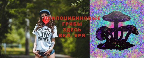 спайс Баксан
