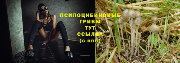 спайс Баксан