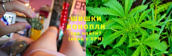 спайс Баксан