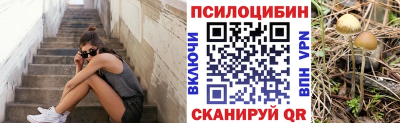 Псилоцибиновые грибы мицелий  закладка  Шарья 