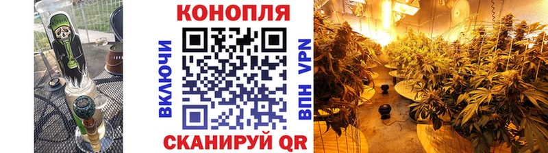 купить   Шарья  МЕГА вход  МАРИХУАНА планчик 